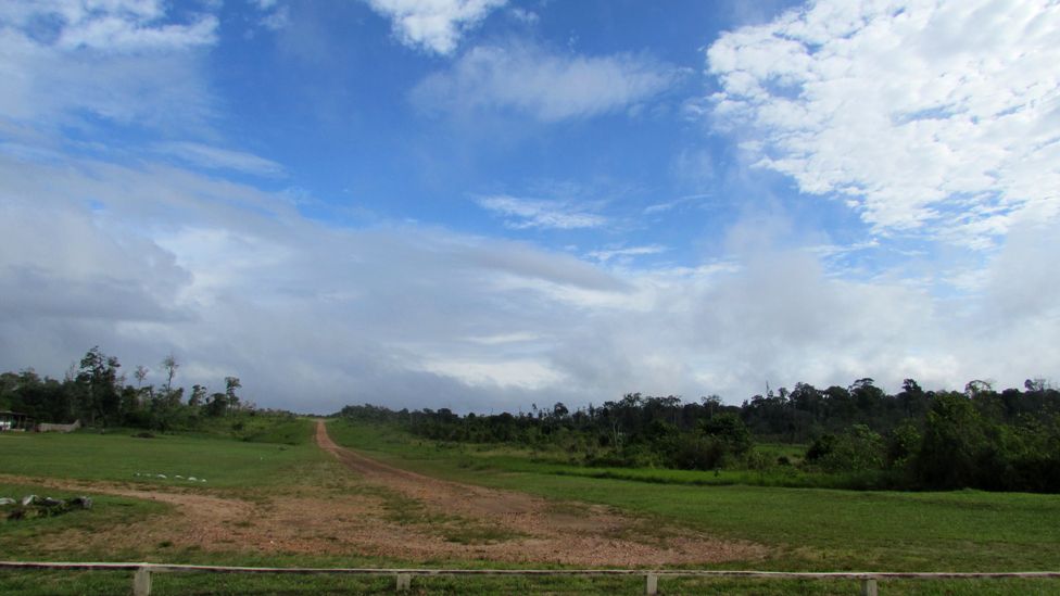 The landing strip at Laranjal, a mining community, is registered