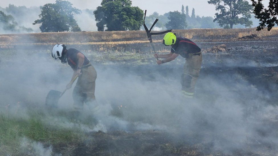Ongar field fire destroys 20 acres of stubble BBC News