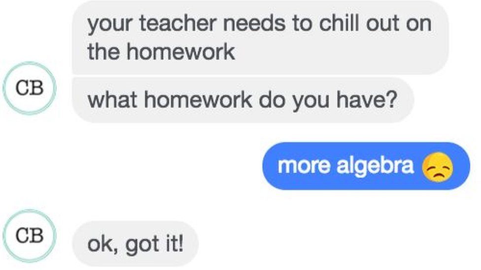 The chatbot takes answers in from messages and adds it to a homework schedule