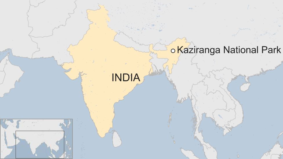 Kaziranga in India