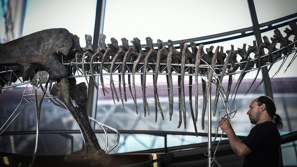 Крупный план скелета плотоядного динозавра, выставленного на первом этаже Эйфелевой башни в Париже, 2 июня 2018 г.