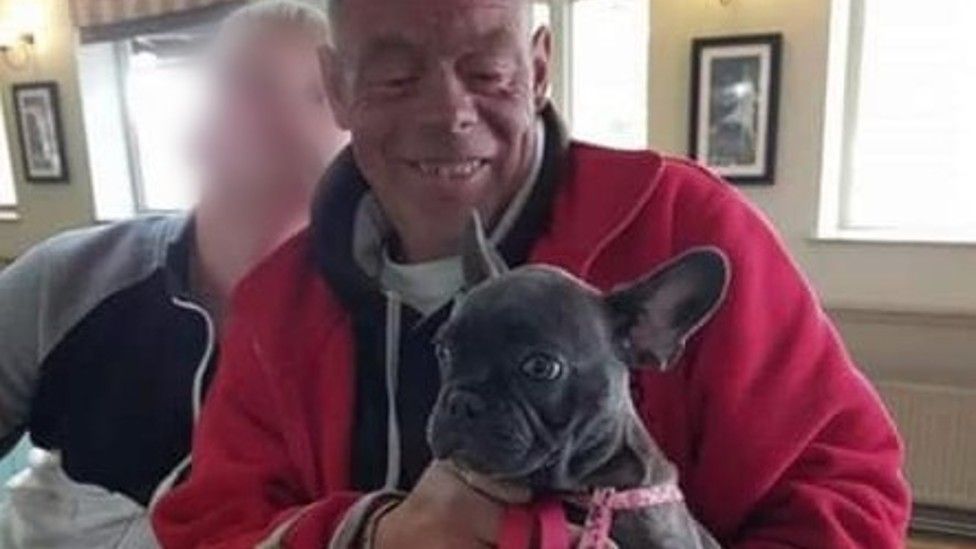 bulldog veterinarian near me