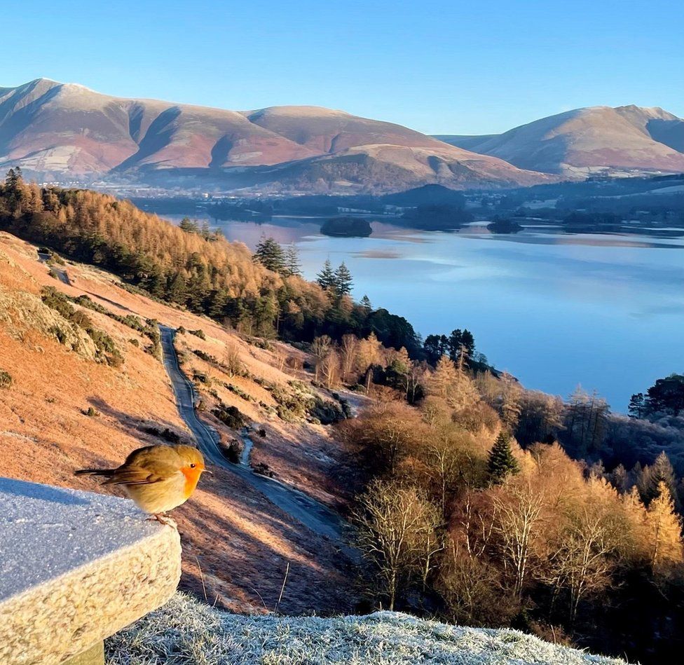 A red-breasted robin sits on a frost-covered stone plinth with a large lake and hills beyond on a crisp, sunny winter day
