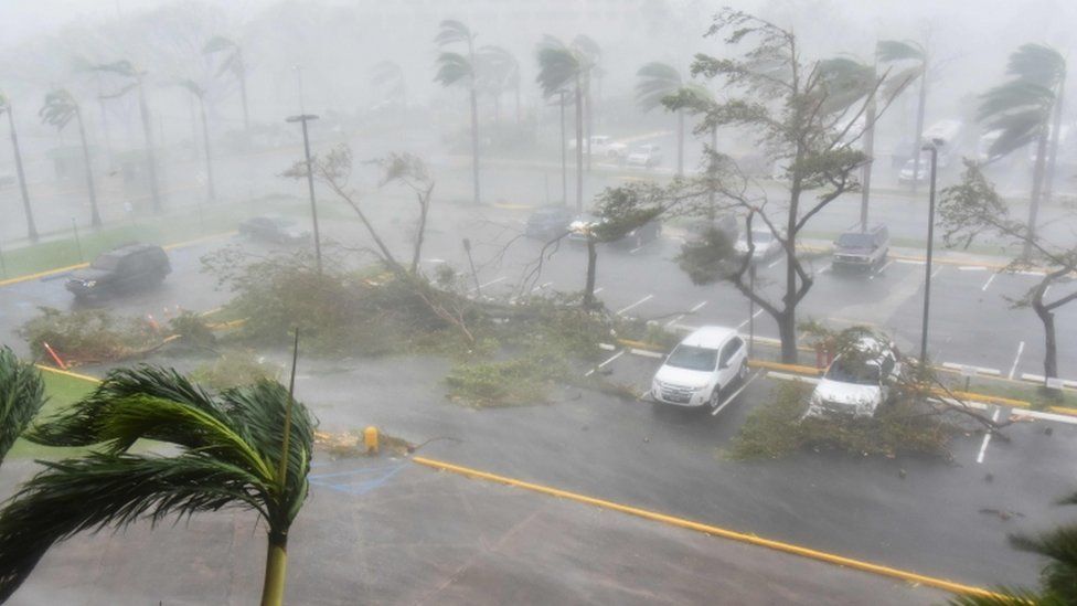 Trees toppled over in a parking lot in San Juan, Puerto Rico, on 20 September 2017