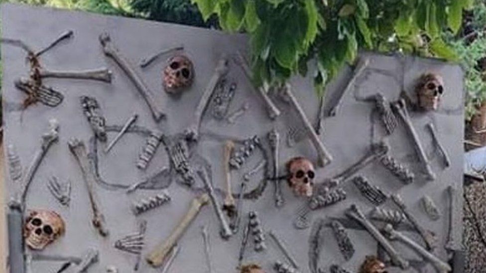 Skulls and bones wall display