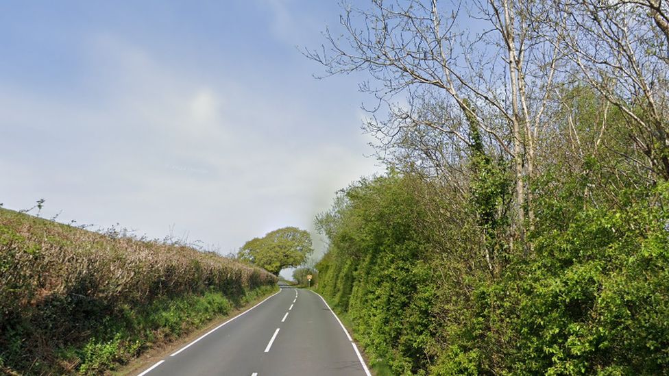 Road with hedges either side