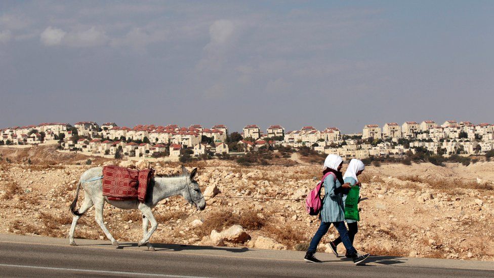 Palestinian schoolgirls walk with a donkey as the West Bank Jewish settlement of Maale Adumim, near Jerusalem, is seen in the background November 13, 2013.