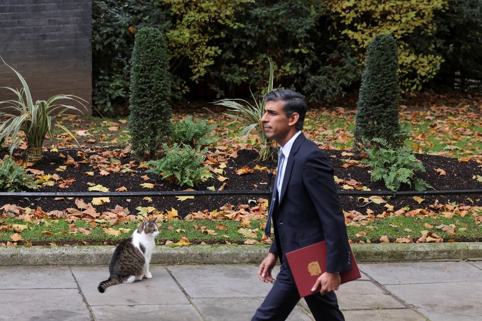 Новый премьер-министр Великобритании Риши Сунак проходит мимо кота Ларри на Даунинг-стрит в Лондоне, 25 октября 2022 года