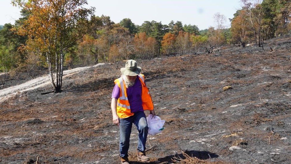 Volunteer walking on site