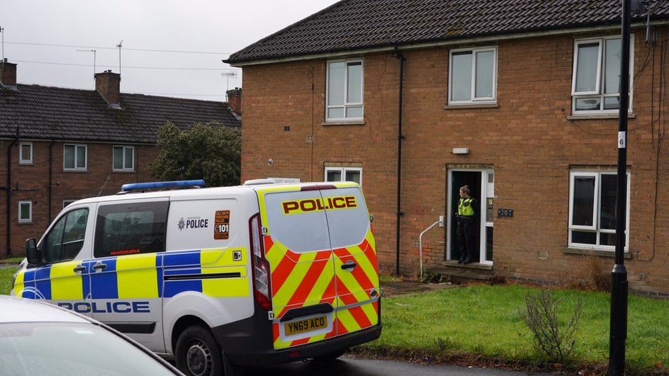 Sheffield flat fire: Woman in her 30s dies - BBC News