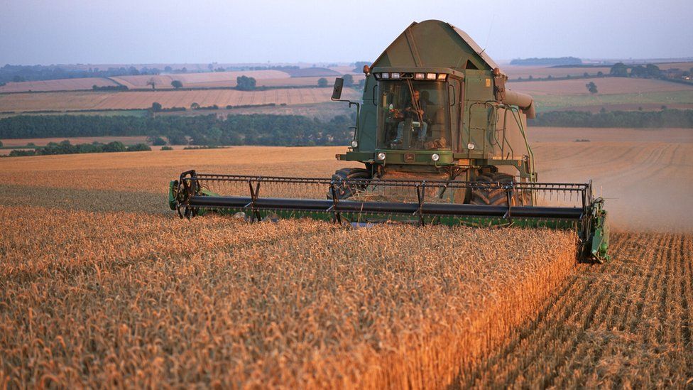 Picture of harvest in Lincolnshire