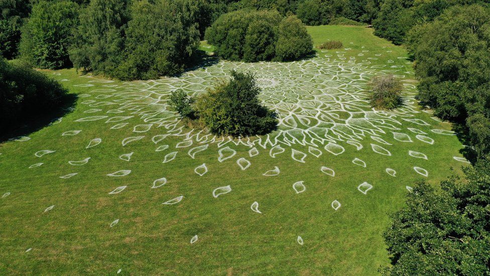 Artist carves magnificent mandala into Knowsley parkland - BBC News