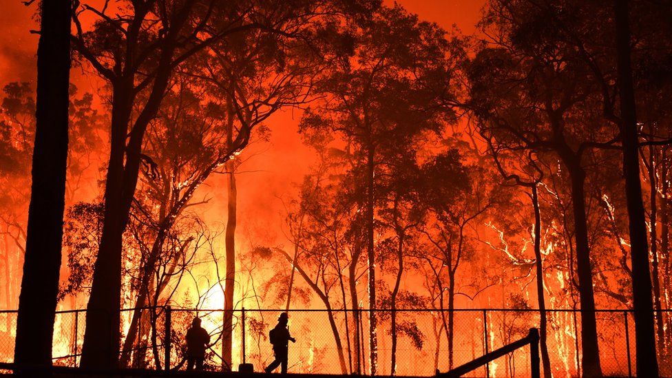 Tiny silhouette of a firefighter framed against a wall of flame in the Wollemi National Park fire north-west of Sydney on 19 November 2019