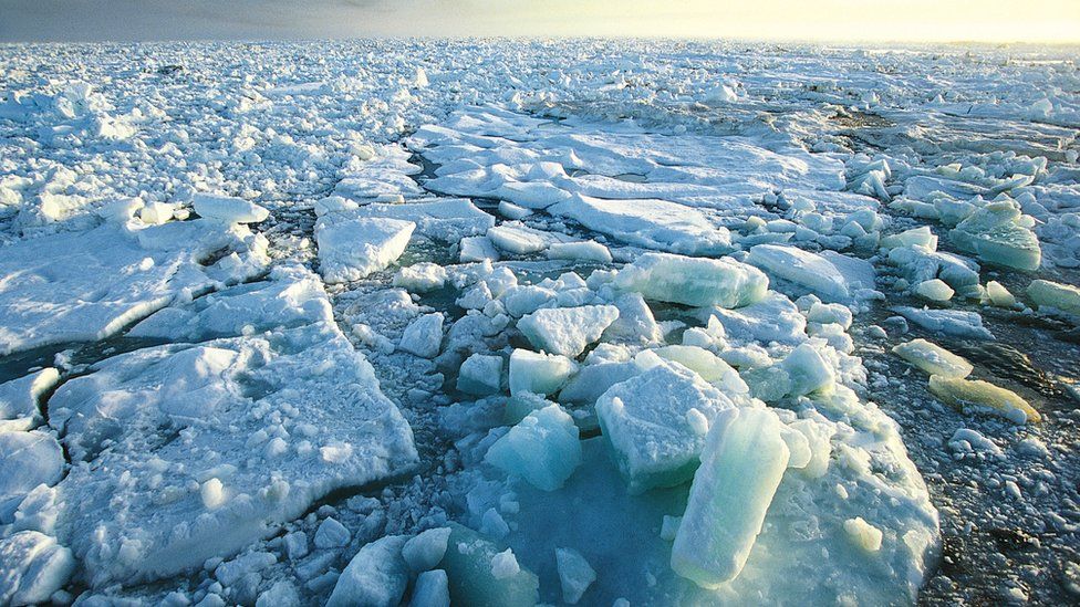 Sea ice