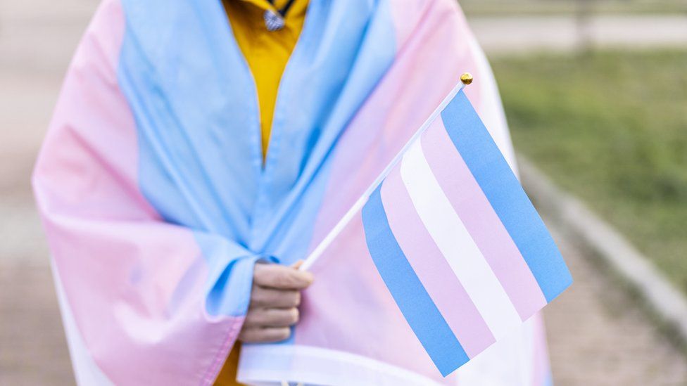 trans pride flags