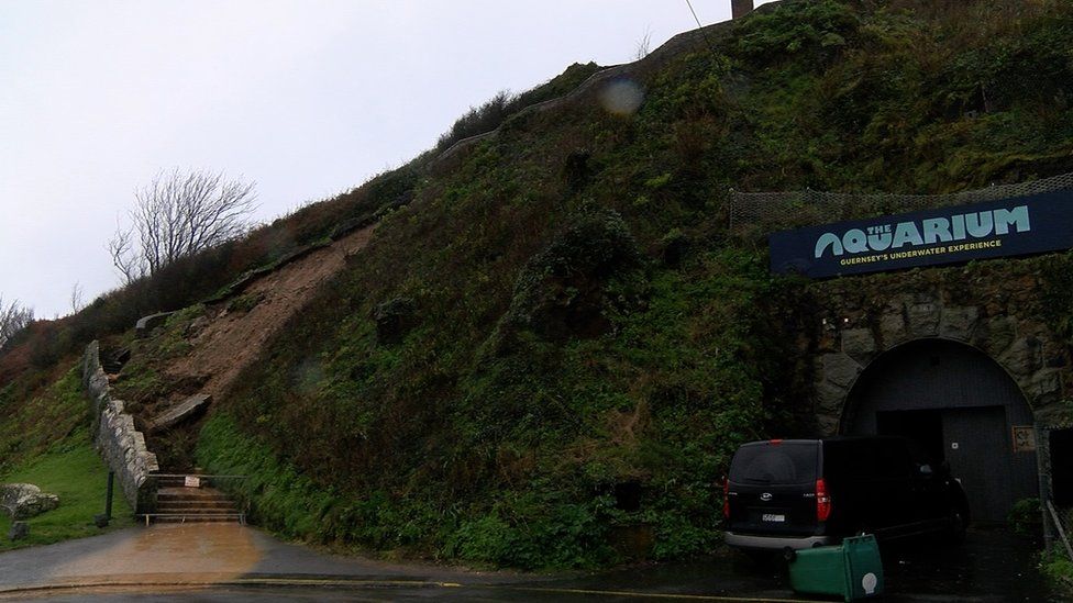 Landslide by Guernsey Aquarium