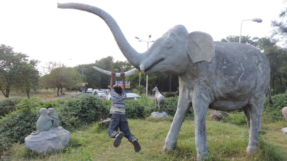 Boy swinging on elephant statue in the avenue outside Islamabad zoo