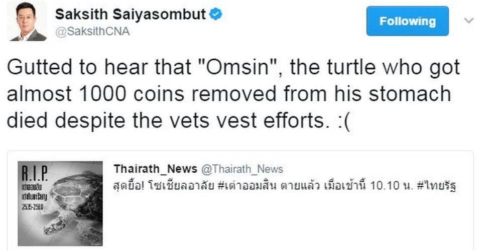 @SaksithCNA tweets: "Gutted to hear that "Omsin", the turtle who got almost 1000 coins removed from his stomach died despite the vets vest [sic] efforts. :( "