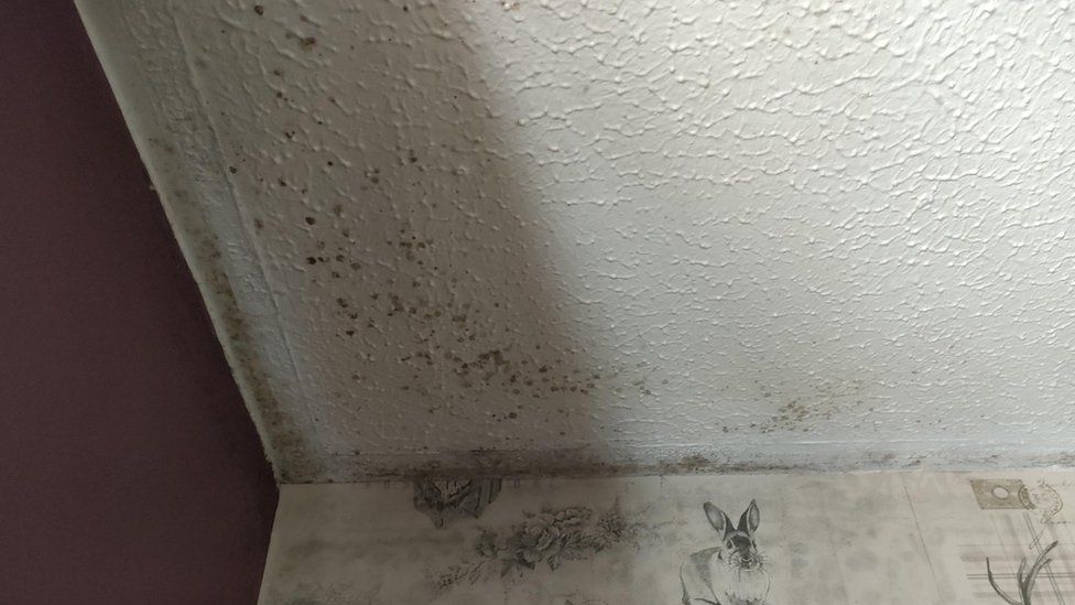 Mould on the ceiling of the woman's home in Ballymena