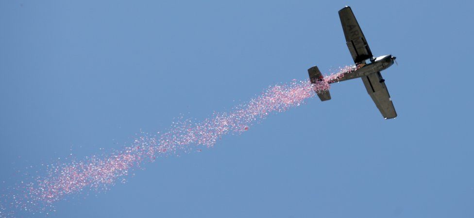 Poppies are released by plane during a Remembrance Day ceremony in Adelaide, Australia, 11 November 2018