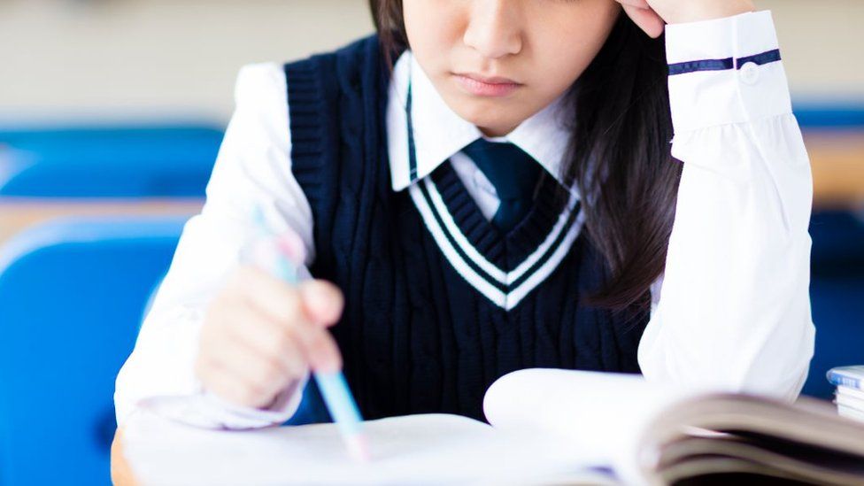 Stock image of school student in a uniform