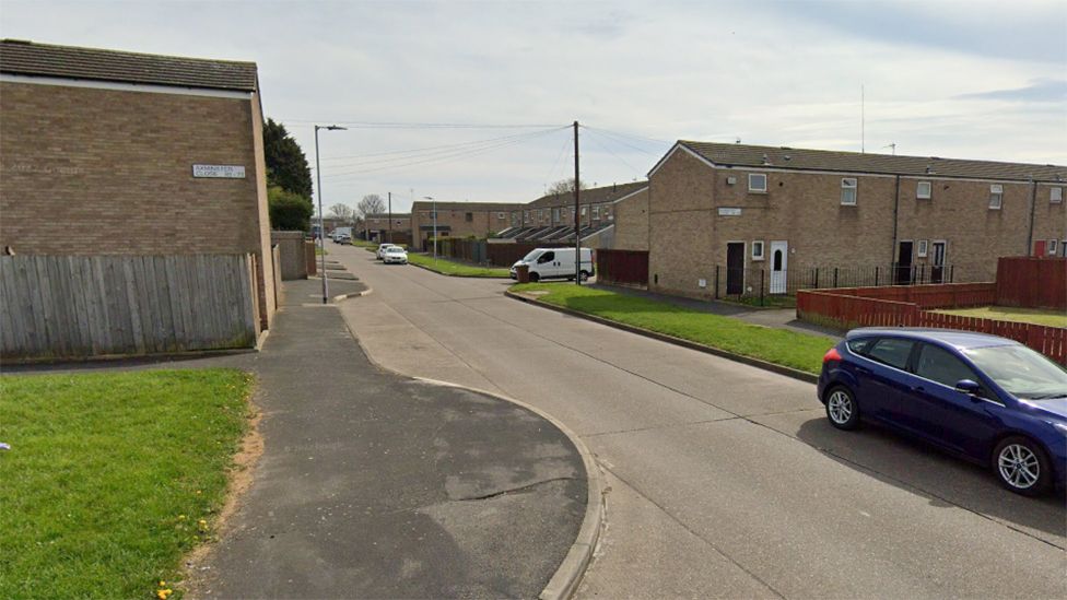 Child injured in dog attack in Hull garden BBC News