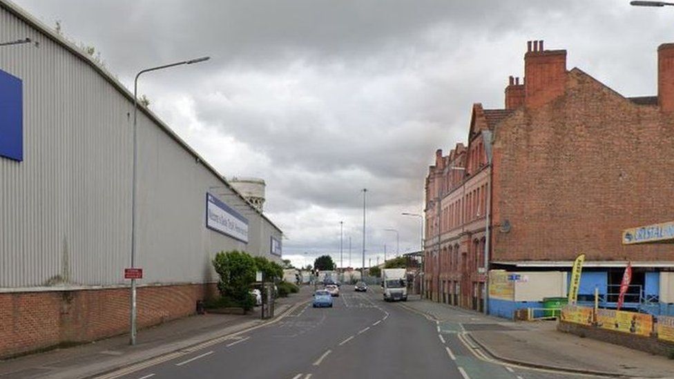 Kittens were said to have been thrown from a car in Stanhope Street, Goole.