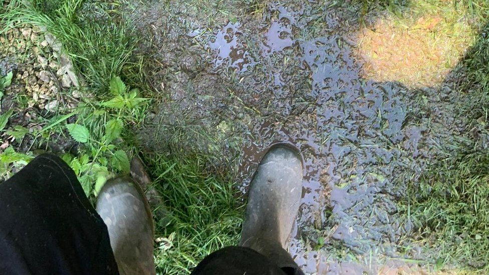 Wellies in mud patch