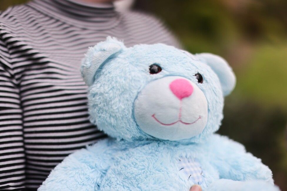 Teddy bear containing baby ashes