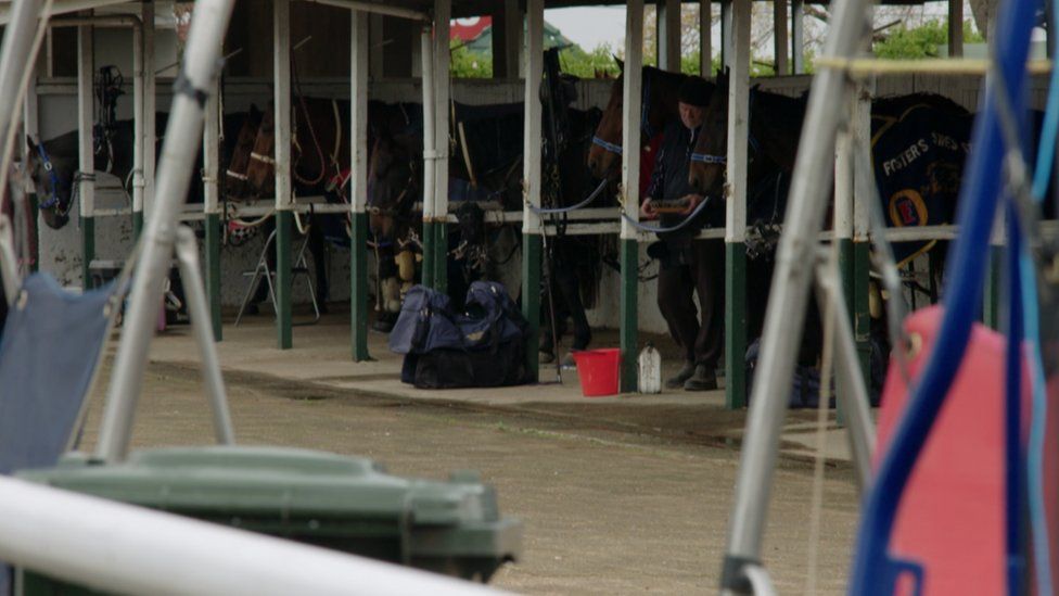 Horses stand in the stables at Bankstown City Paceway in Sydney, Australia.