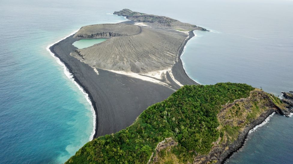 New Tonga island 'now home to flowers and owls' - BBC News