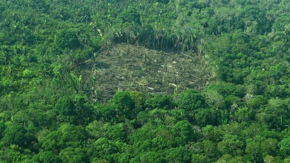 Aerial view of deforestation in the Western Amazon region of Brazil on September 15, 2017.