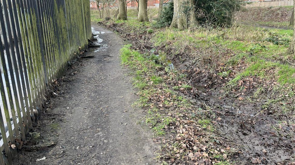Footpath damaged by sewage in Horley
