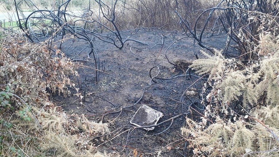 A fire caused by a barbecue