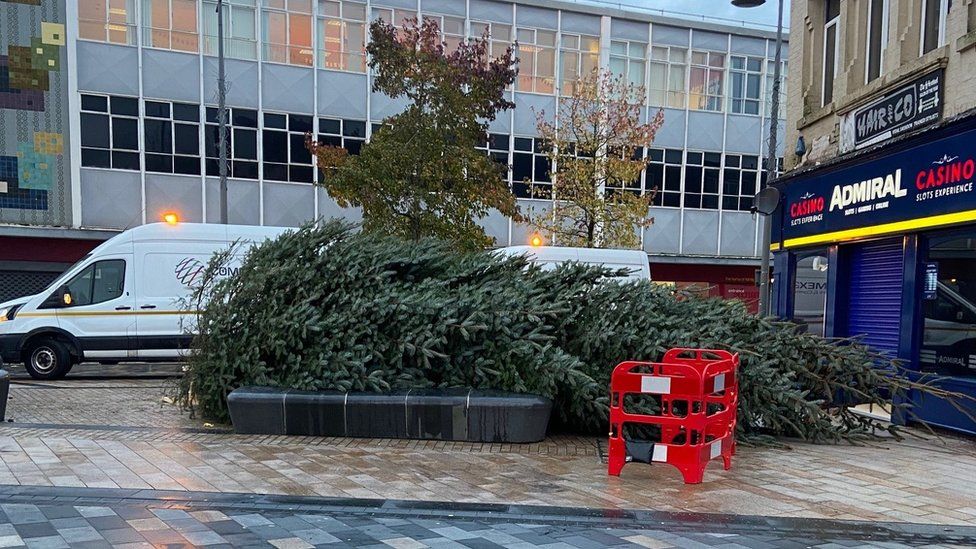 Fallen Christmas tree