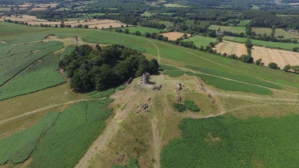 Thousands of new trees to be planted at Bradgate Park - BBC News