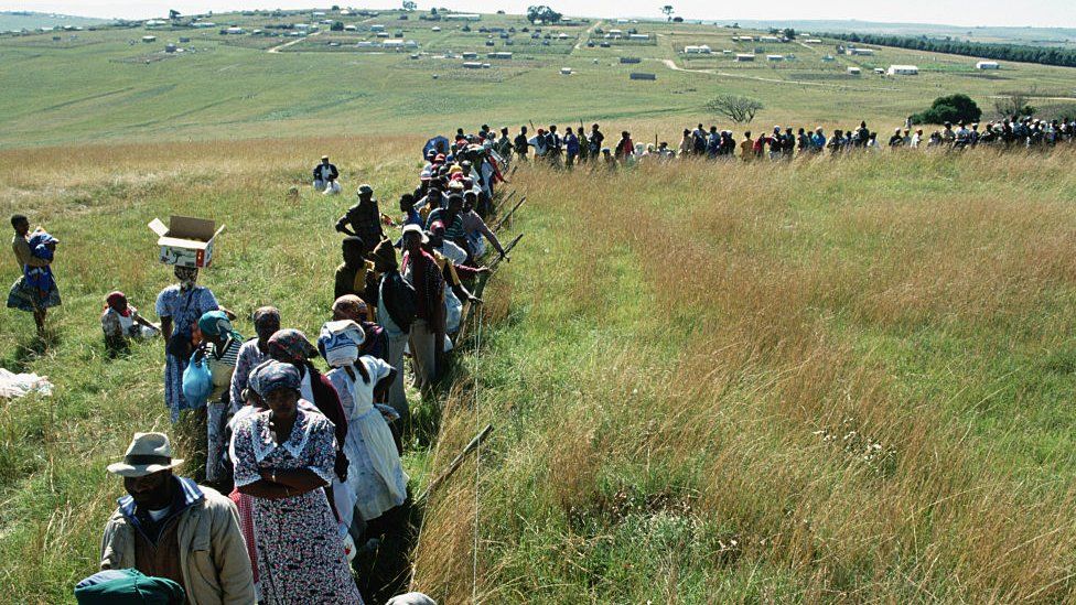 people queuing in field