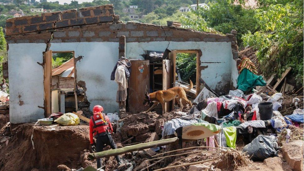 Член поисково-спасательного подразделения южноафриканской полицейской службы (SAPS) ведет свою собаку-ищейку во время поисков десяти человек, пропавших без вести в районе городка Кванденгези за пределами Дурбана 15 апреля 2022 года после того, как их дома были снесены разрушительными дождями. и затопление