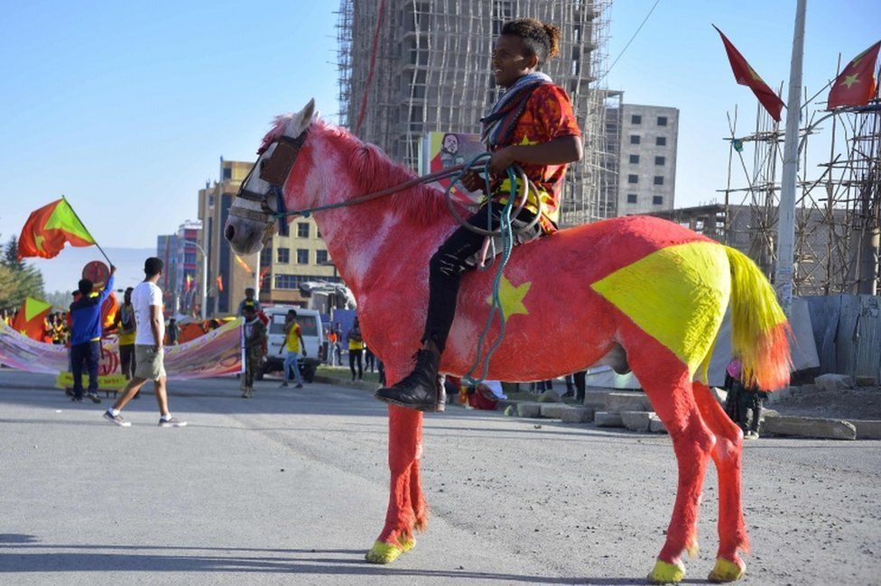 A man in Ethiopia's Mekelle city rides a horse painted in the colours of the Tigray regional flag on 19 February 2020.