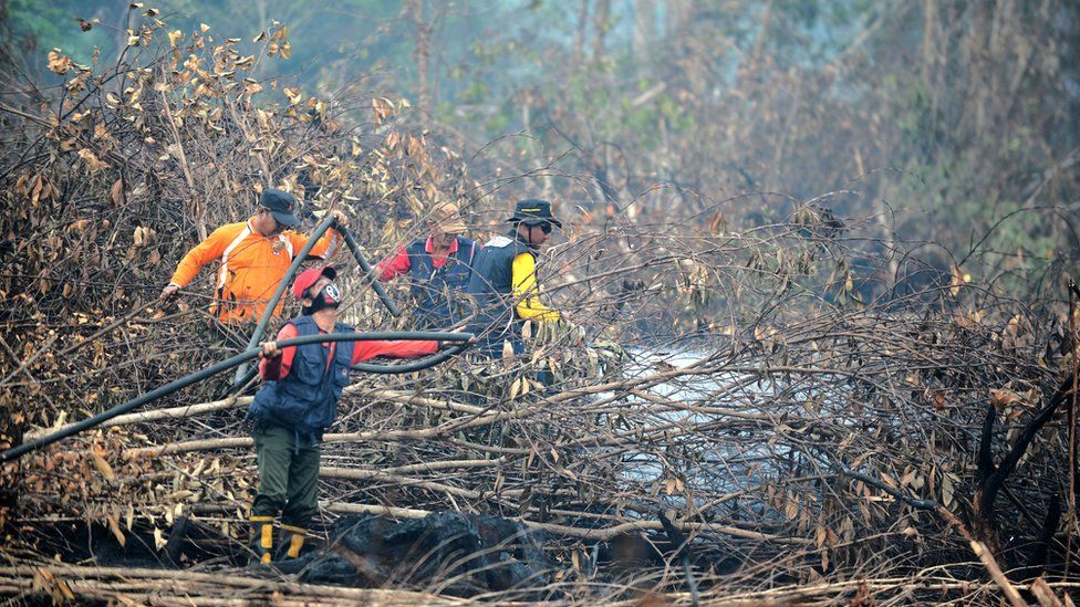 Fire fighters try to put out fires in forest and peatlands surrounding Palangkaraya city in Central Kalimantan.