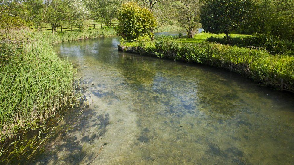 Clear water of meandering River Kennet chalk stream at Axford, Wiltshire, England
