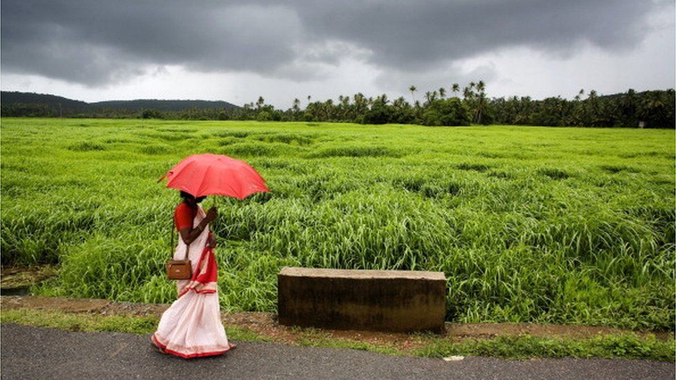 A women waits in the rain for the public bus with the lush vegetation in back ground August 20, 2006 in Goa, India