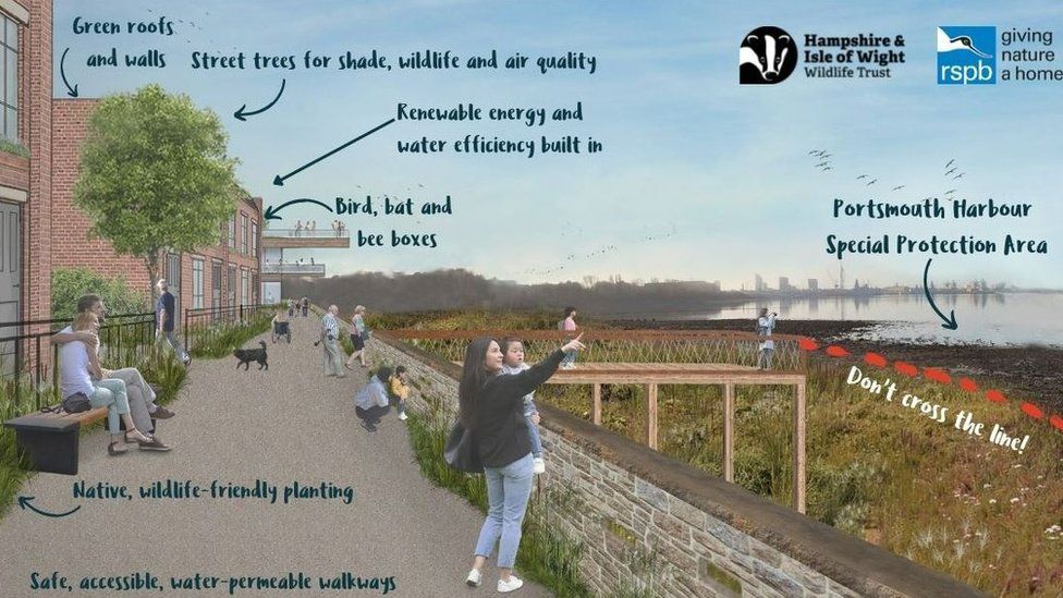Artist's impression of the plans proposed by Hampshire & Isle Of Wight Wildlife Trust an the RSPB