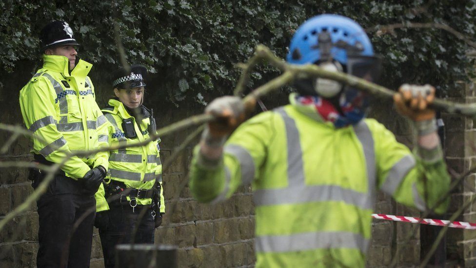Police look on as contractors cut down a tree in Rustlings Road, Sheffield