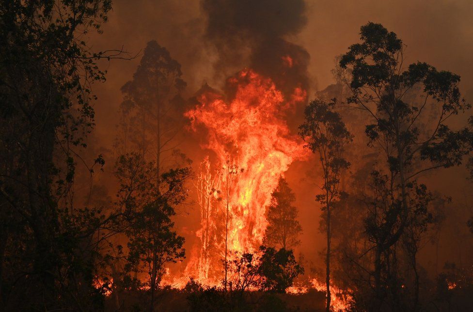 A huge, bright orange blaze erupts amid trees