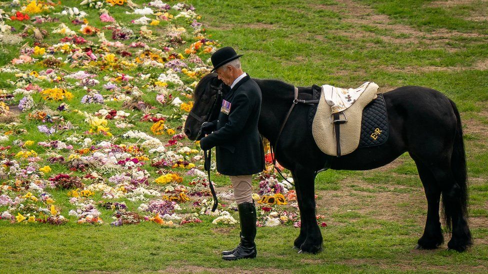 Queen s Funeral Emma The Pony s Ex owner would Be So Proud BBC News