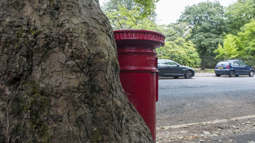 postbox by tree