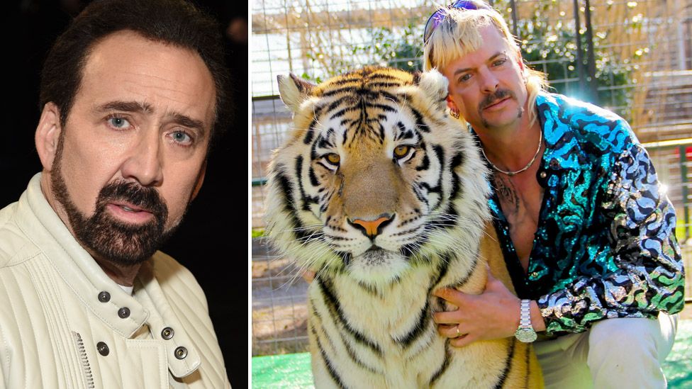 Tiger King Joe Exotic S Former Zoo Handed To Rival Carole Baskin Bbc News