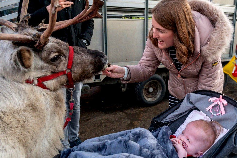 Layla meets a reindeer