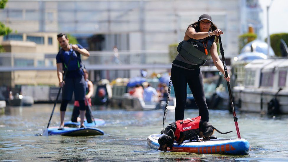 A woman paddle boards with a dog on the canal in Paddington Basin, north London on Bank Holiday Monday